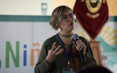 El videojuego como enriquecedor de la educación inicial